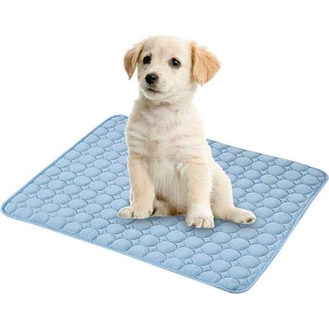 Tapis rafraîchissant pour chiens et chats - Tapis rafraîchissant pour chiens, tapis rafraîchissant pour chats, couverture rafraîchissante pour chats, panier rafraîchissant pour chiens, multifonctionne (1/5)