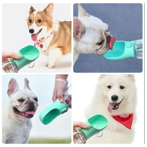 Bouteille d'eau pour chien / Bouteille pour chien 350 ml - Vert Vert Vert (1/5)