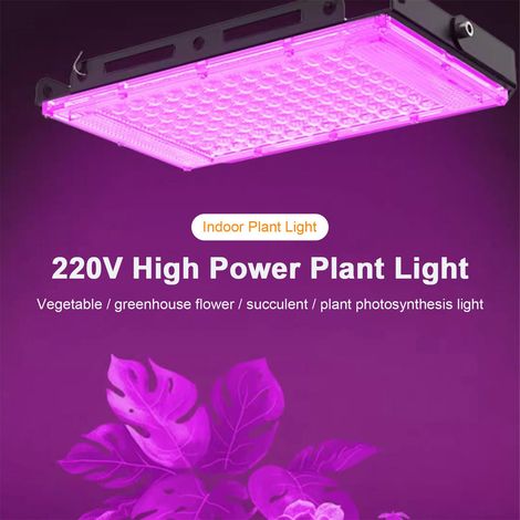 Ortviai Lampe de croissance LED pleine lumière pour plantes d’intérieur, succulentes et bonsaïs – 50 W, 50 LED 2835