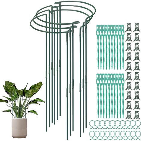 6 Pièces 25 x 65 cm Tuteur pour Plantes, Demi Rond Piquets de Plantes de Jardin en Métal Plantes Anneau de Support Vertes pour Légumes, Tomates, Hortensia, Pivoines et Roses (1/5)