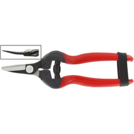 FORBICI P/UVA LAME CURVE PROF