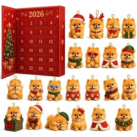 Poméranien collection calendrier avent 2026 2D boîte surprise