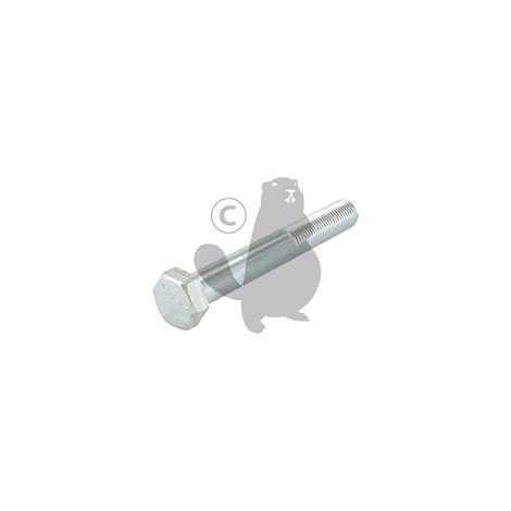Tornillo 3/8" x 2戮" (9,52 x 70mm) GGP - CASTELGARDEN 112736815/0