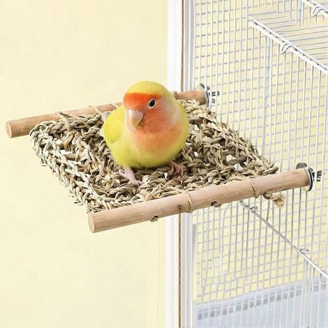 Cage à oiseaux, perchoir, support de jeu pour perruche, échelle pour cage à conure, perchoir, dressage, alimentation, conure, inséparable, canari M (1/5)