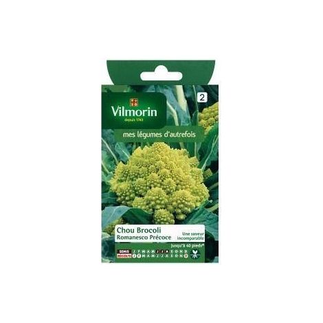 Vilmorin Chou Brocoli Romanesco Précoce - Légumes d'Autrefois (1/3)