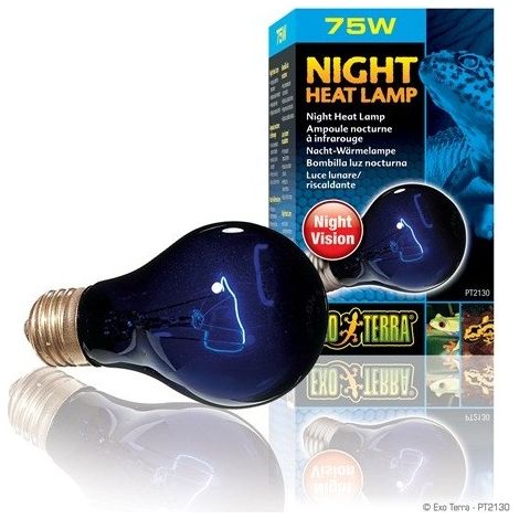 EXO Terra Night Heat Lampe 75 W