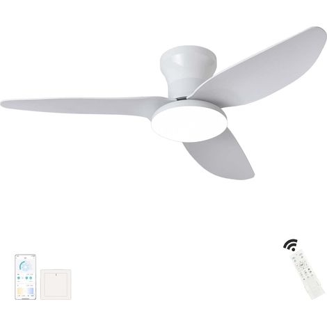 Grand Plafonnier Ventilateur de Plafond Dimmable LED avec Télécommande – Silencieux Moteur DC Réversible 6 Vitesses Smart pour Salon Chambre (1/5)