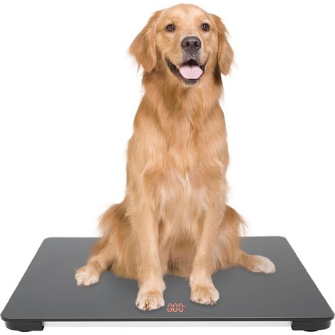 Balanza para mascotas, escalera para mascotas, báscula para perros, báscula de suelo para mascotas, pantalla LCD, negra, 100 kg