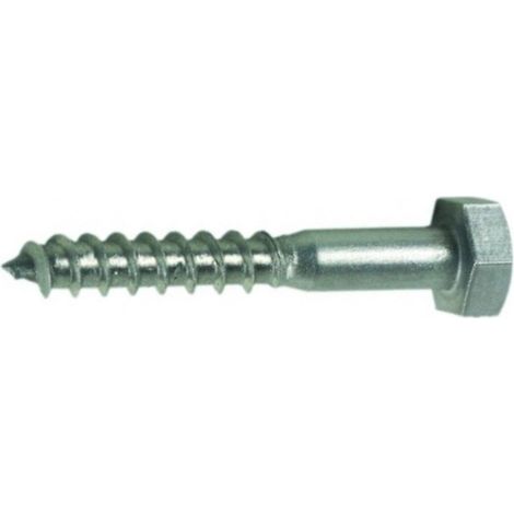 D-Work Tirefonds Bois Acier Zingué DIN 571 Tête Hexagonale - 50 pièces - 10 mm de diamètre - 100 mm de longueur - Épaisseur solide pour fixation durable (1/4)