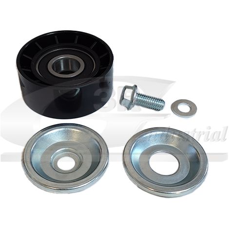 3RG 13666 RODILLO TENSOR