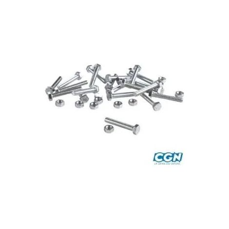 Vis algi 6x20 tête hexagonale zinc 100 pcs