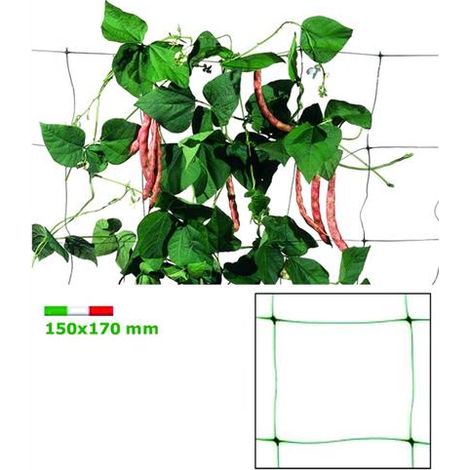 Rete Plastica per Rampicanti