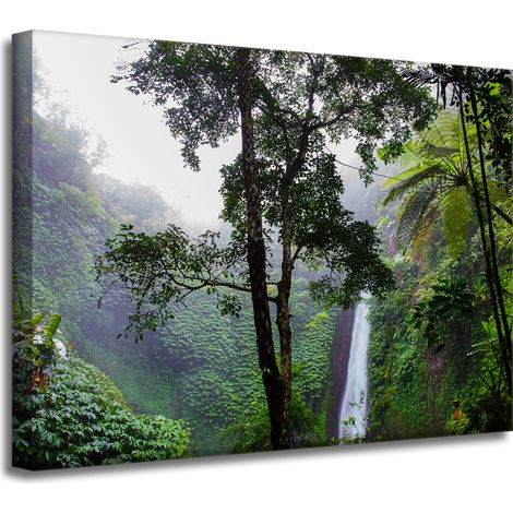 Impression sur toile Nature Forêt tropicale 40x30 cm