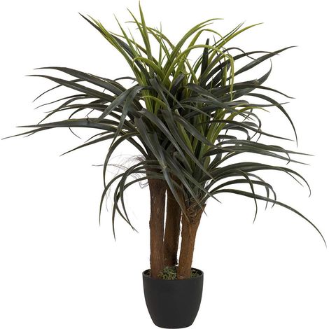 Yucca avec pot 58 x 58 x 58 cm (1/2)