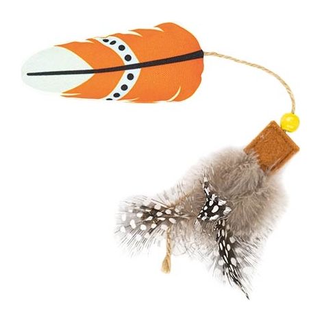 Plumes d'Inde avec herbe à chat