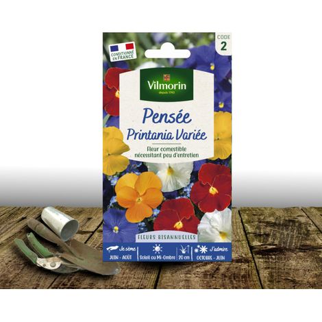 Graines de pensée Printania Varié - Vilmorin/Sachet