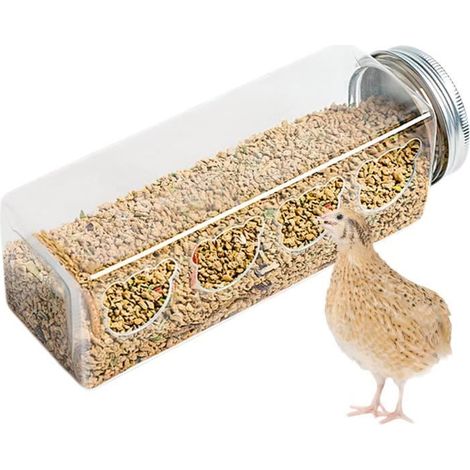 Mangeoire à oiseaux - Marque - Modèle - 4 ports sans désordre - Portable en forme de bouteille (1/4)