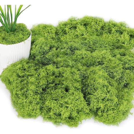 Mousse Artificielle - 100g - Vert Clair - Décoration Naturelle - Bricolage et Composition Florale (1/5)