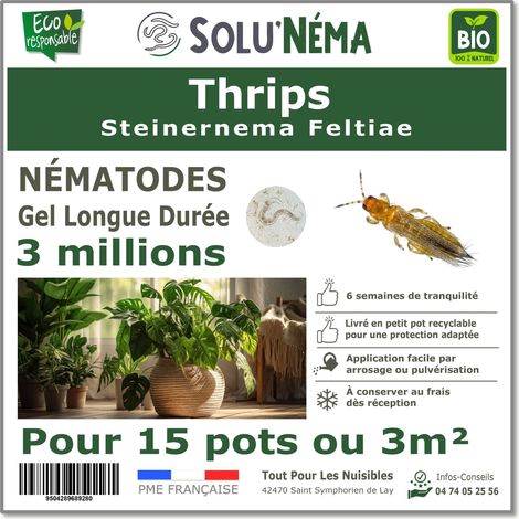 Traitement Thrips - 3 millions Nématodes SF