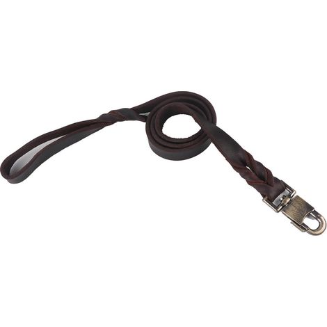 1 collier et laisse en cuir souple pour chien, avec chaîne tressée (2,5 x 120 cm) (1/5)