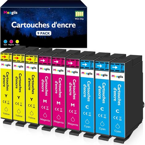 Cartouches d'encre Compatible pour 603XL pour Epson XP-2105 XP-2150 (1/5)