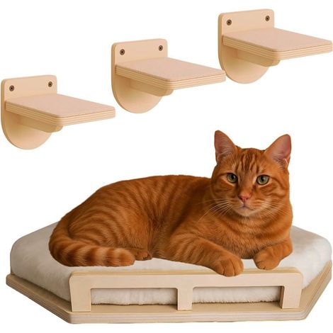 Ensemble de 4 de Mur d‘Escalade pour Chats en Bois Naturel, Escalier et Rampe d‘Escalade Stables pour Chats, avec Une Résistance allant Jusqu‘à 35 kg (1/5)