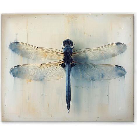 Leinwandbild Libelle Vintage Blau M1-No.51790 - Kunstdruck auf Leinwand in Beige Blau - Wandbild 50 x 40 cm (1/5)