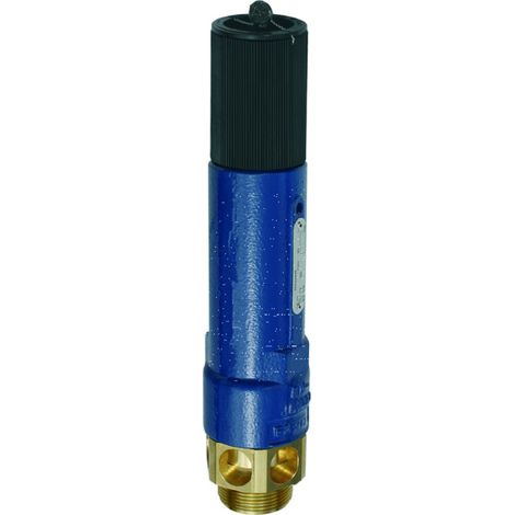 Riegler Hochleistungs-Sicherheitsventil MS, G 1 1/2 Ansprechdruck 3,3 bar (1/4)