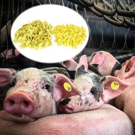100 Stück runde Ohrmarken mit Nummerierung für Nutztiere, z. B. für Schweine, Schafe und Rinder (1/5)