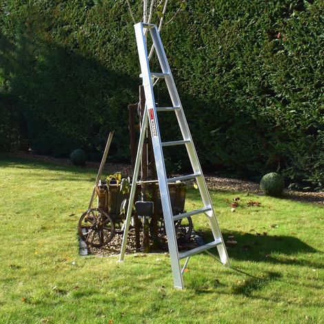 6 Step Home Master Fixed Tripod Gardening Ladder