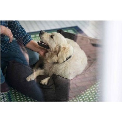 Hunter Sitzbank für Hunde Hunter Boston Brown (60 x 50 cm) (1/4)