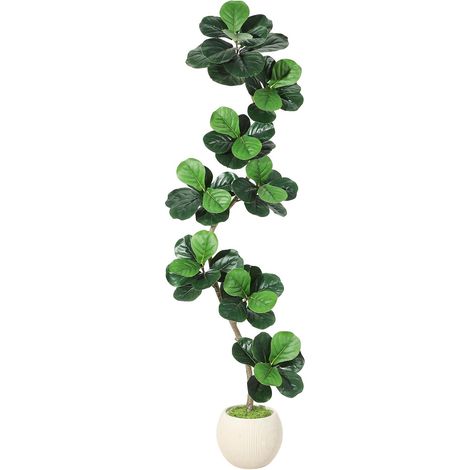 Figuier Lyre Artificiel, Grande Plante Artificielle en Pot Blanc avec Mousse, Décoration Moderne Et Facile d'entretien pour Salon, Bureau Et Maison, Faux Arbre Décoratif (1/5)