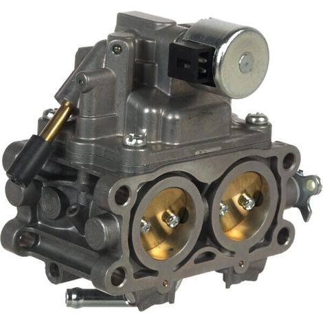 Carburatore BRIGGS ET STRATTON 844370 (1/2)