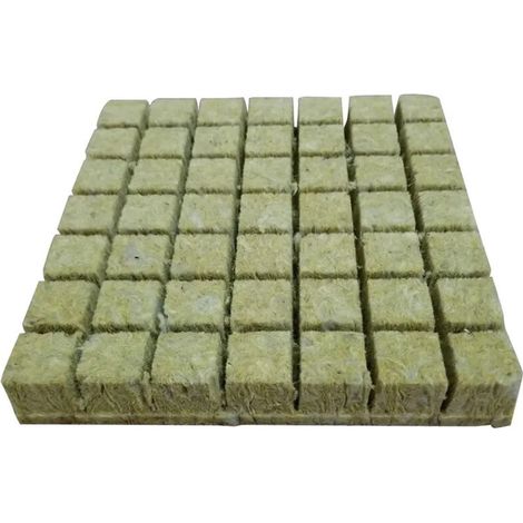 Plantes Esponja Plantada Planta De Cultivo 36x40mm (1/5)
