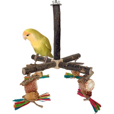 Jouet rotatif pour perroquet avec jouet à mâcher, support en bois naturel pour petits et moyens oiseaux, accessoire de cage avec roue d'exercice pour perruches.