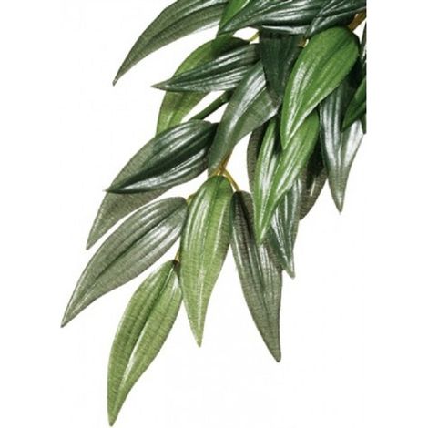 Pianta di seta Exo Terra Ruscu S.