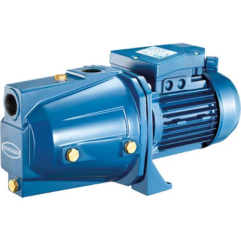 POMPE 230V FONTE SERIE JET 0,44KW - RENSON - 818334