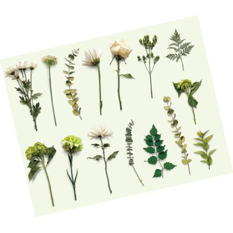 Set mit 30 Vintage-Aufklebern mit Blumen-, Pflanzen- und Blattmotiven, Retro-Aufkleber für Computer, Scrapbooking, Tagebücher, Planer, Karten und Bergnebel-Designs. (1/5)