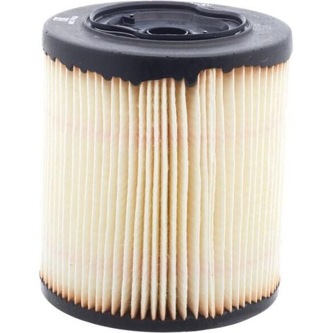Filtro de combustible DONALDSON P552044 (1/2)