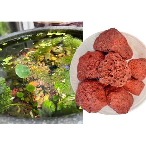 Sable naturel destinée à aquarium purifiant 5 kg modèle 10 (1/5)