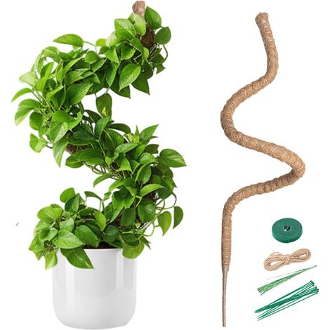 1 - Tuteur Plante - Fibre De Coco - Flexible Et Personnalisable - Support Pour Plantes Grimpantes - Intérieur Et Extérieur - Marron - 150x5cm