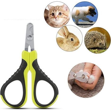Coupe-ongles portable professionnel pour chats, chiens, chiots, lapins, oiseaux et petits animaux (1/5)