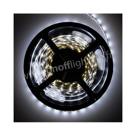 Ruban LED blanc froid 7000K 5W/m (longueur 5m) 12V DC (alim non incl) dimmable 120° intérieur IP20 RUBILIGHT 3528601-70