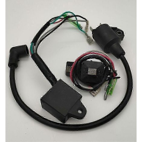 Compatible avec les groupes électrogènes essence haute tension ET950/ET650, avec bobine d'allumage par magnéto puissances de sortie respectives de 650 W et 950 W/1 kW pour les modèles TG950/TG650. Éd (1/4)