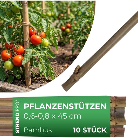 Stab Garden KBT 450/6-8 mm, Pack. 10 Stk., Bambus, Stützstab für Pflanzen (1/4)