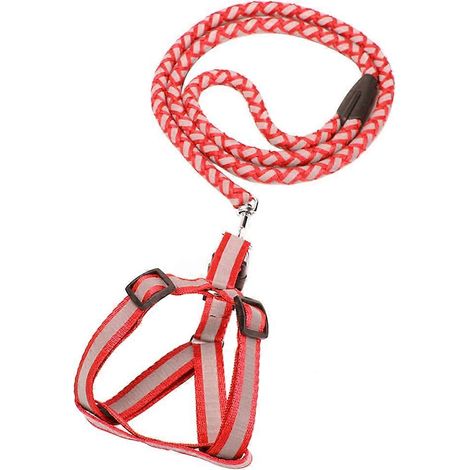 Hundegeschirr mit Leine für komfortable Kontrolle, rot, verstellbar (1/4)