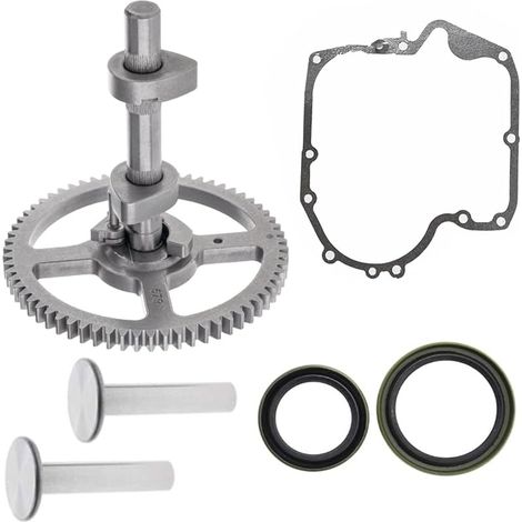 Compatible avec arbre à cames 793880 pour Briggs & Stratton 793583 792681 791942 795102 Kit d'arbre à cames avec joint 697110, joint d'huile 795387