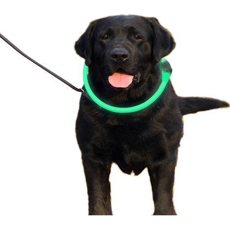 Verstellbares LED-Hundehalsband mit Clipverschluss, USB-aufladbar, Sicherheits-Leuchthalsband für die Nacht, trendiges Leuchthalsband für kleine bis mittelgroße Hunde (USB-Kabel, grün, 27,56" x 0,47")