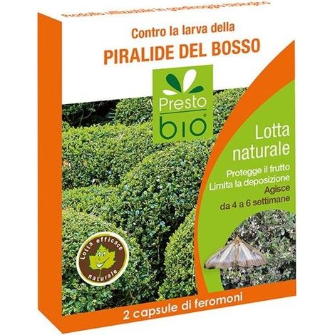 Feromone contro Piralide del Bosso Ueber (1/2)