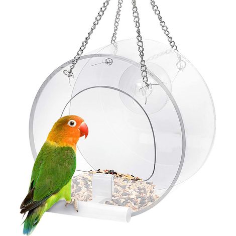 Grand plateau rond en verre transparent pour oiseaux, fixation par ventouses, décoration suspendue à fenêtre